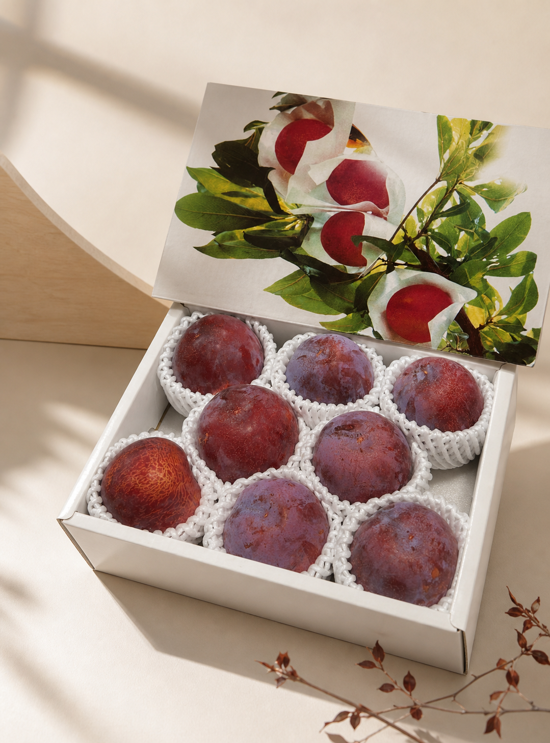 Japanese Plum